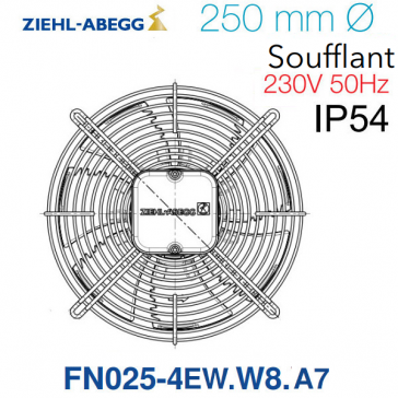 Ventilateur hélicoïde FN025-4EW.W8.A7 de Ziehl-Abegg