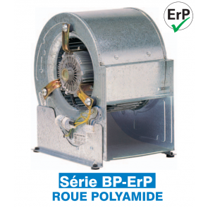 Ventilateur centrifuge basse pression BP-ERP 10/8 6P